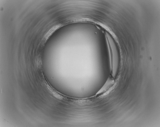 X0000070360897200607072100