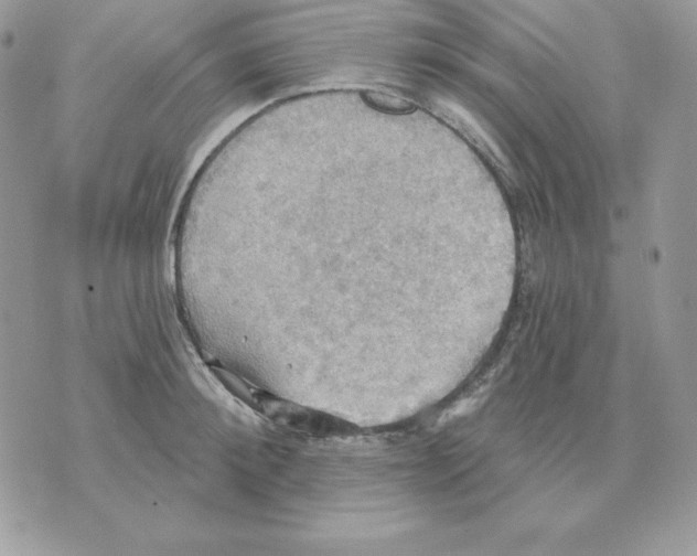 X0000070360900200607072100