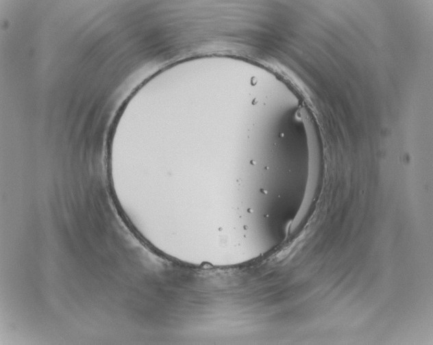 X0000070360902200607072100