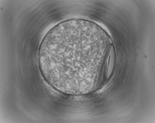 X0000070360903200607072100