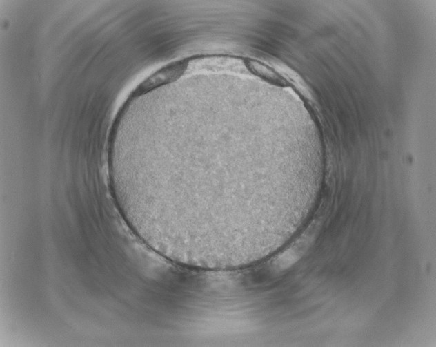 X0000070360904200607072100