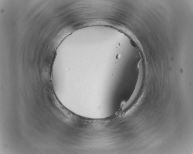 X0000070360905200607072100