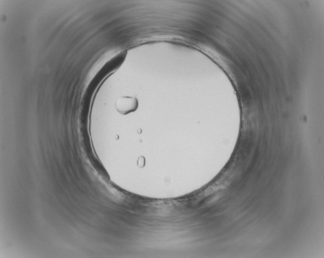 X0000070360906200607072100