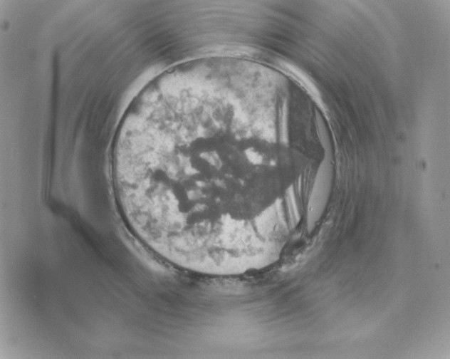 X0000070360907200607072100