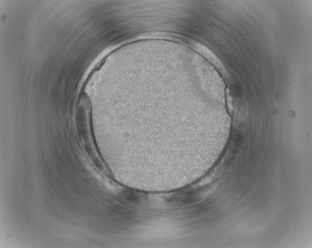 X0000070360908200607072100