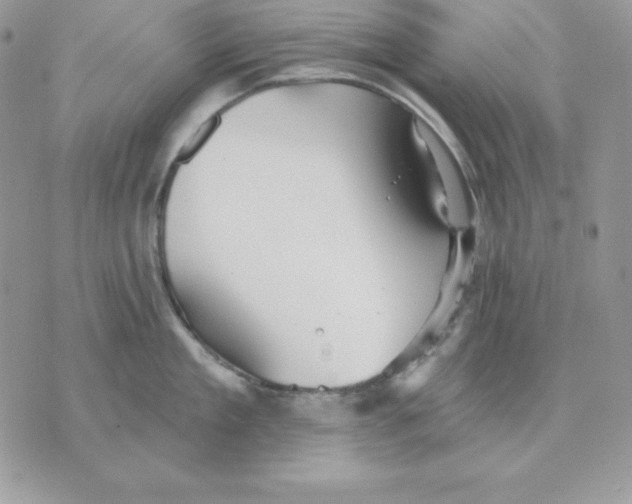 X0000070360909200607072100