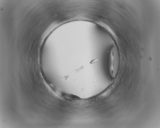 X0000070360910200607072100