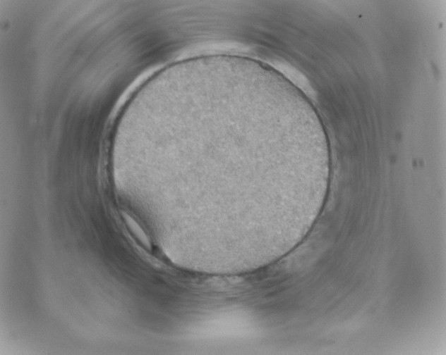 X0000070360912200607072100