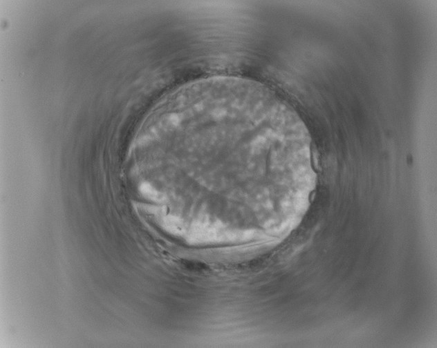 X0000070360913200607072059