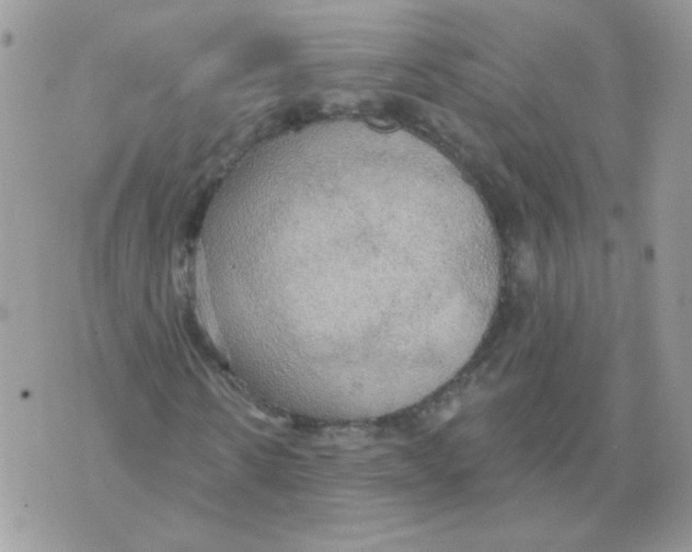 X0000070360914200607072059