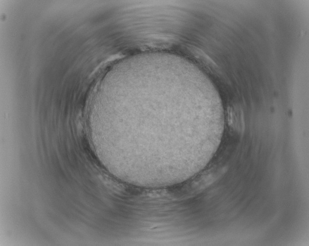 X0000070360915200607072059