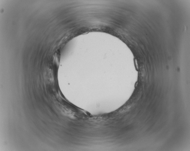 X0000070360916200607072059