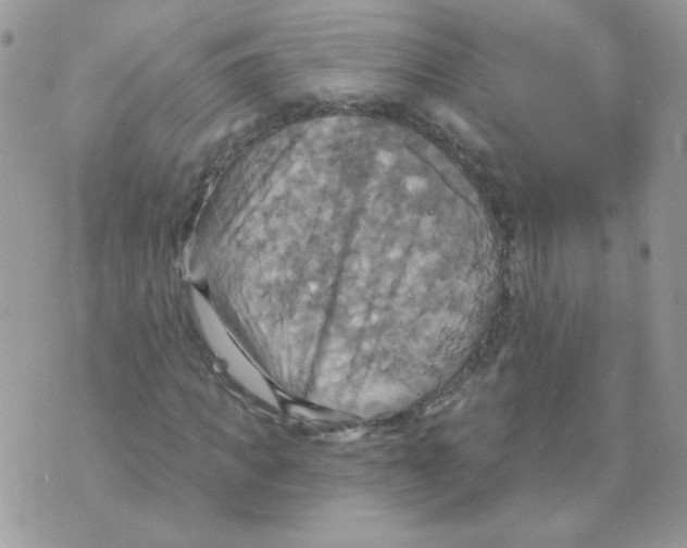 X0000070360917200607072059