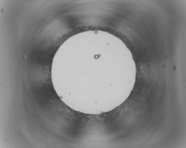 X0000070360918200607072059