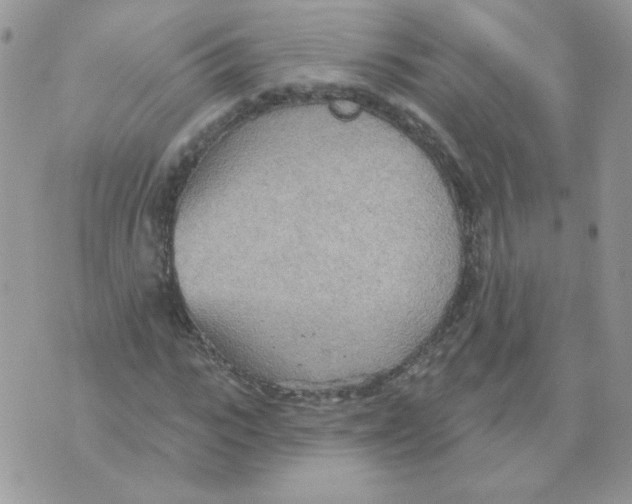 X0000070360919200607072059