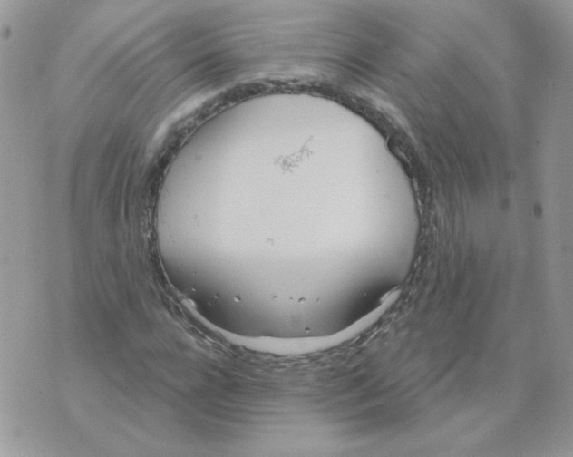 X0000070360920200607072059