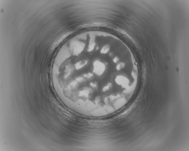 X0000070360921200607072059