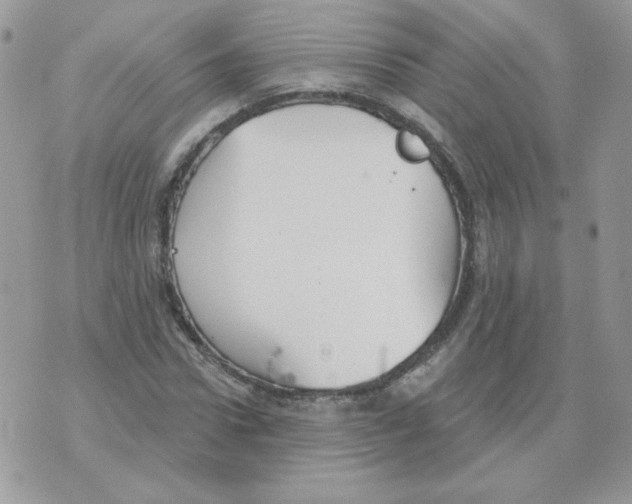 X0000070360922200607072059