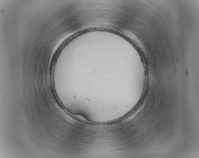 X0000070360924200607072059