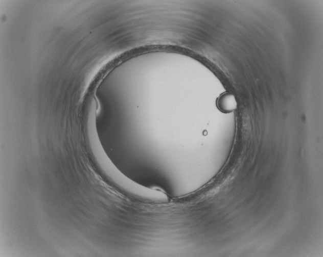 X0000070360926200607072059