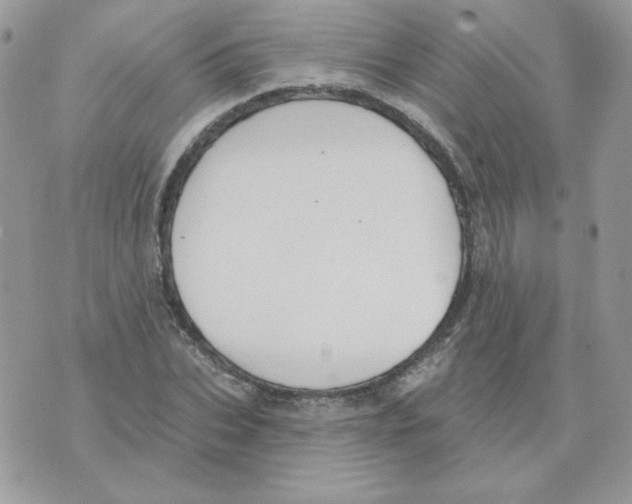 X0000070360927200607072059