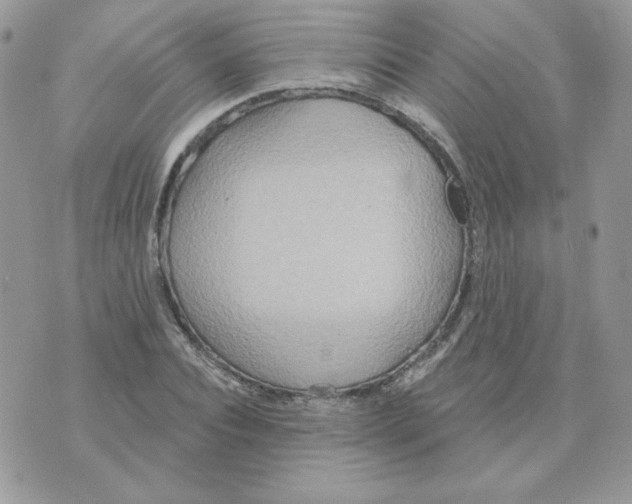 X0000070360928200607072059