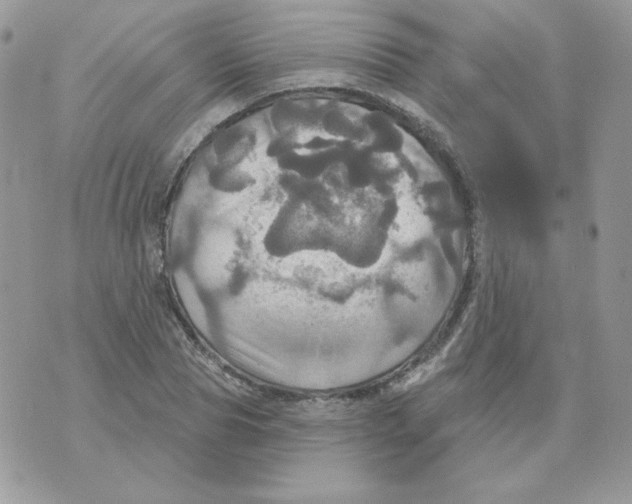 X0000070360929200607072059