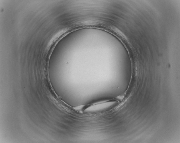 X0000070360930200607072059