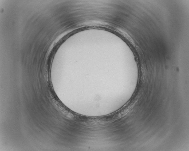 X0000070360931200607072059