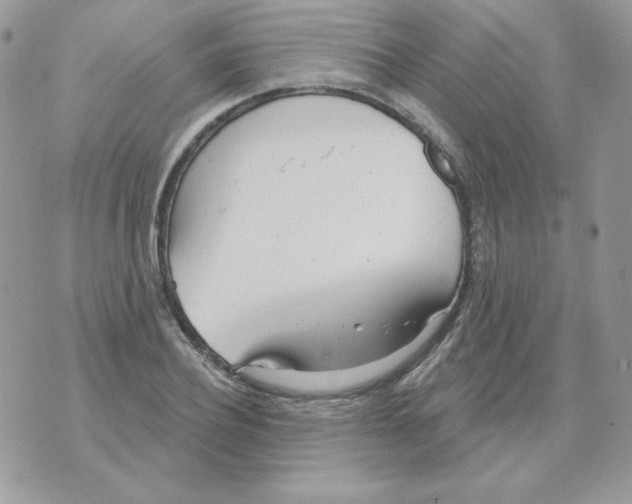 X0000070360932200607072059