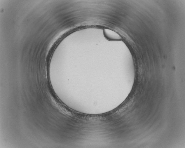 X0000070360934200607072059