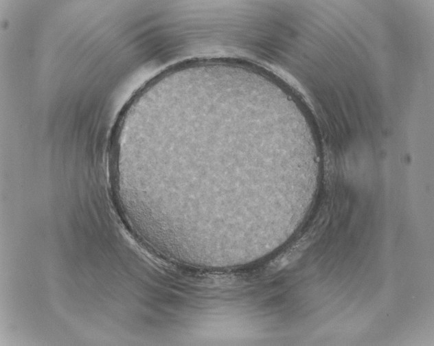 X0000070360935200607072059