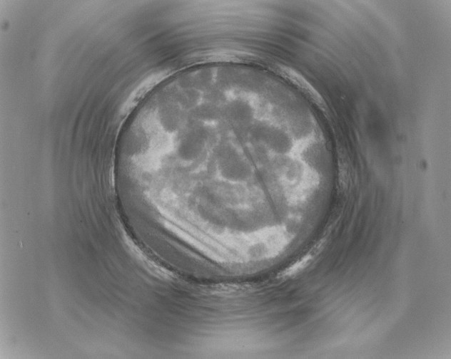 X0000070360938200607072059