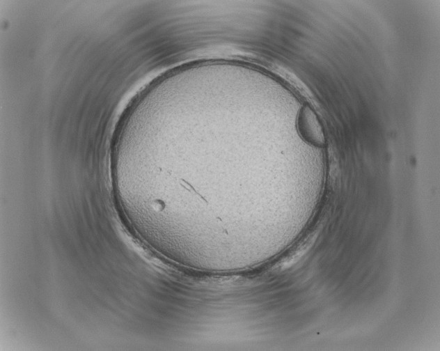 X0000070360939200607072059