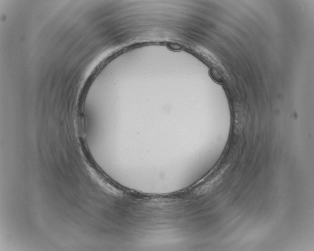 X0000070360942200607072100