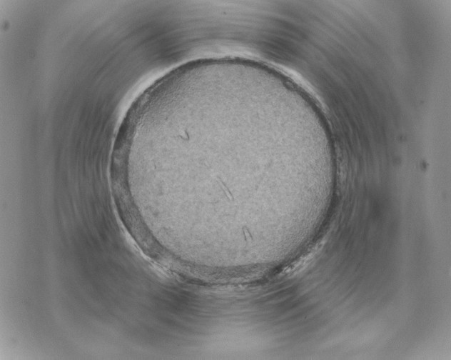 X0000070360943200607072100