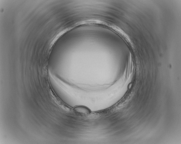 X0000070360945200607072100