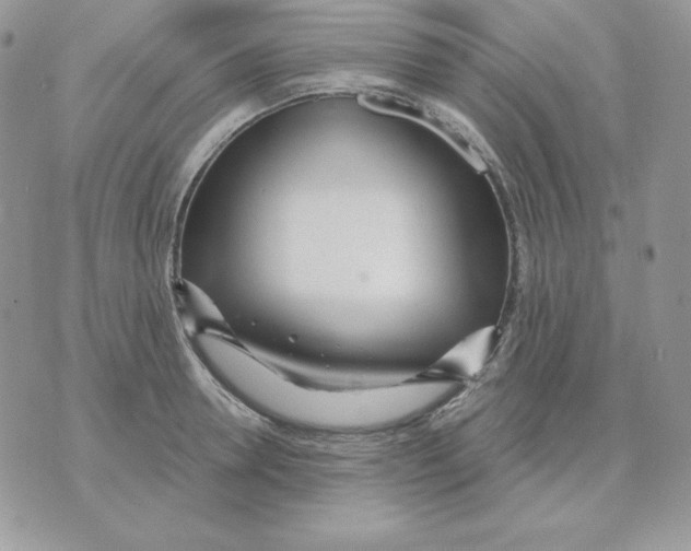 X0000070360946200607072100