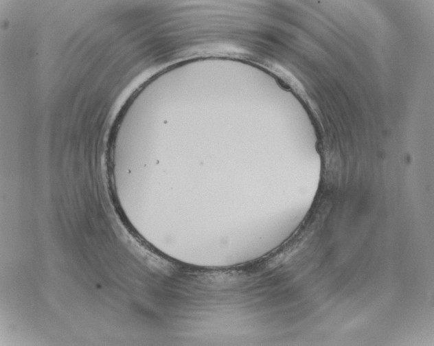 X0000070360947200607072100