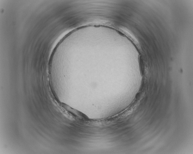 X0000070360948200607072100