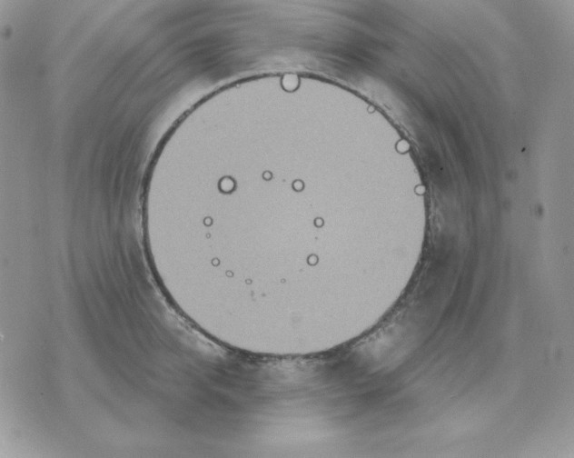 X0000070360950200607072100