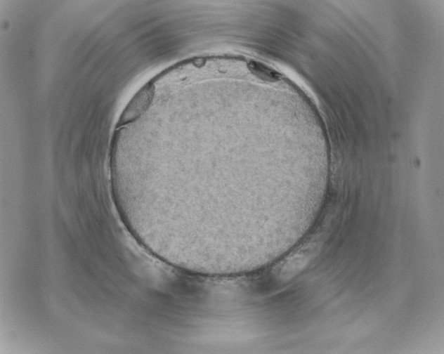 X0000070360951200607072100