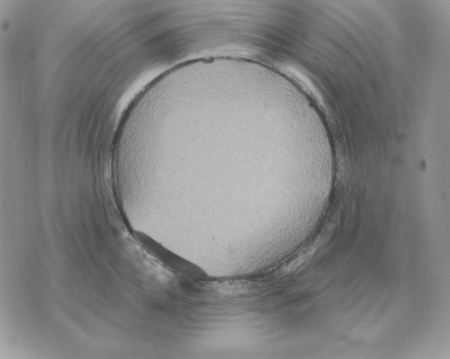 X0000070360952200607072100