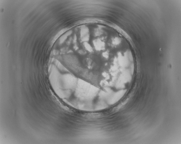 X0000070360953200607072100