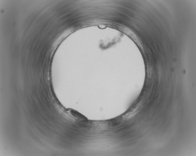 X0000070360954200607072100