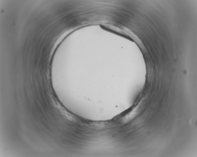 X0000070360956200607072100