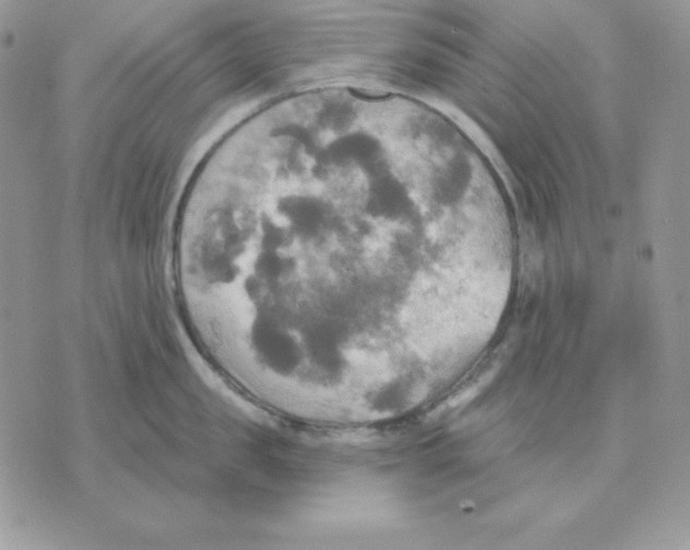 X0000070360957200607072100