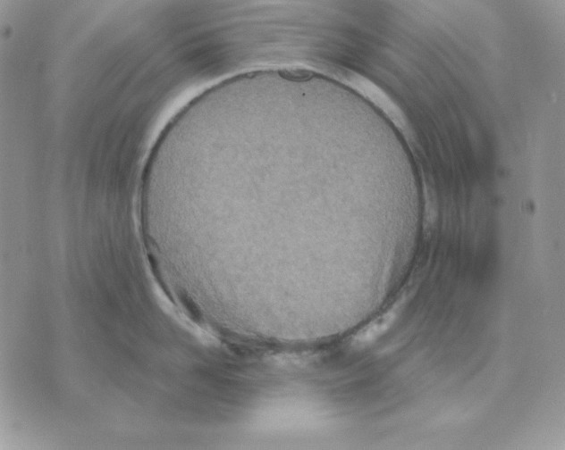 X0000070360958200607072100