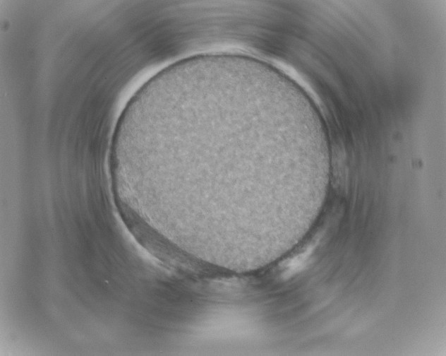 X0000070360959200607072100