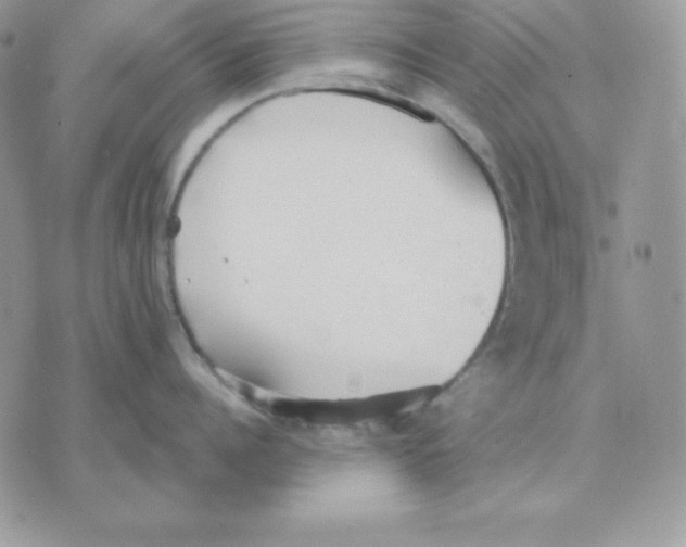 X0000070360960200607072100